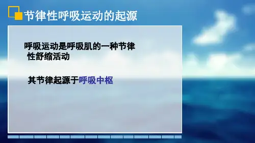 8.416呼吸的反射性调节生理学课件