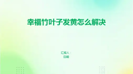幸福竹叶子发黄怎么解决