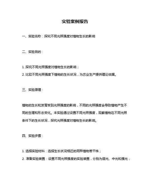 实验案例报告