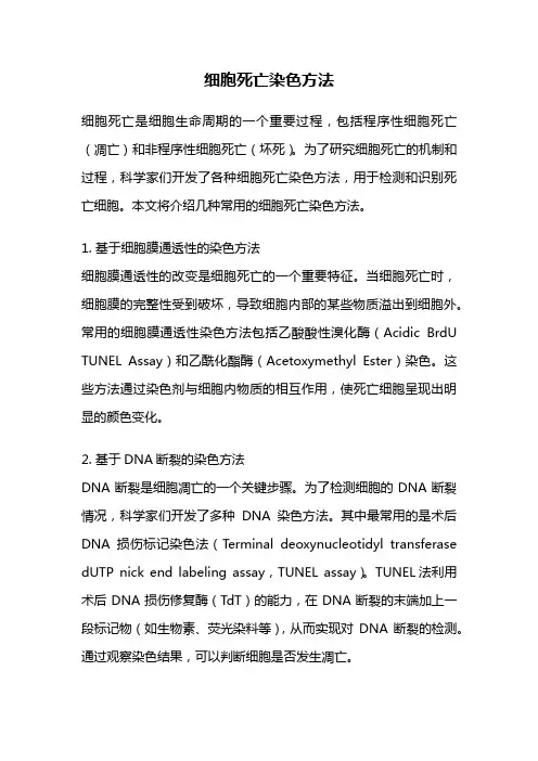 细胞死亡染色方法