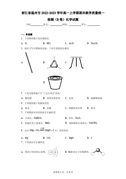 浙江省温州市2022-2023学年高一上学期期末教学质量统一检测(B卷)化学试题