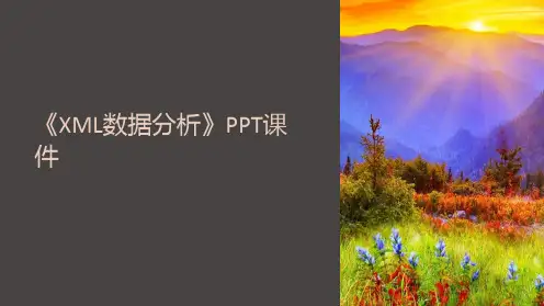 《XML数据分析》课件