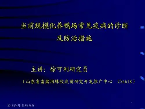 鸭病幻灯