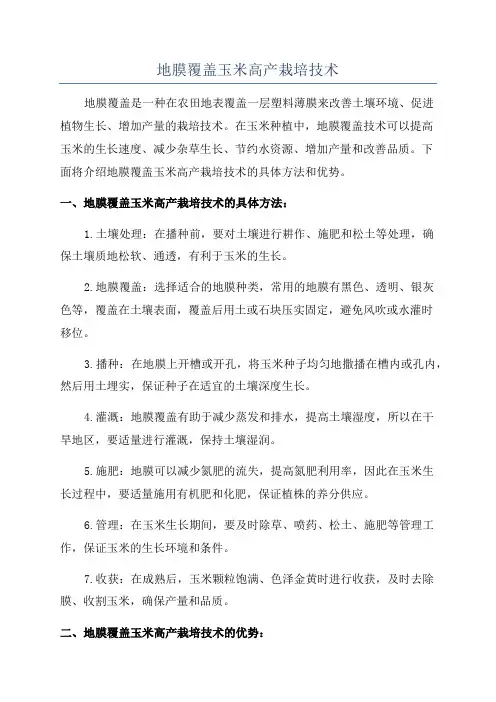 地膜覆盖玉米高产栽培技术