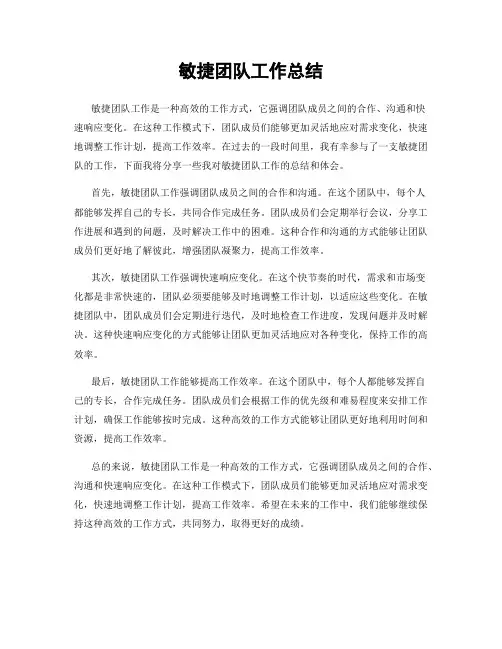 敏捷团队工作总结