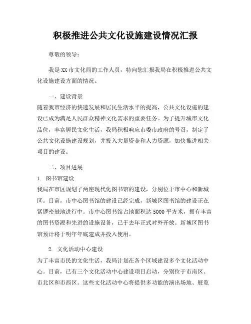 积极推进公共文化设施建设情况汇报