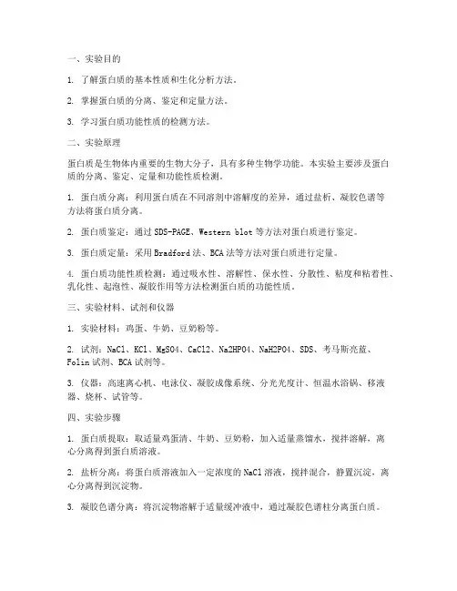 蛋白的生化实验报告