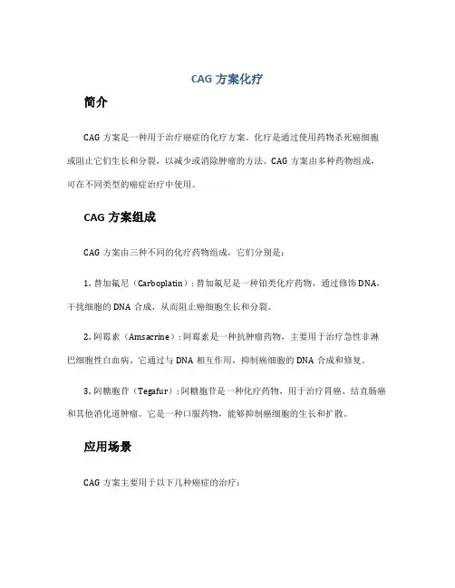 cag方案化疗