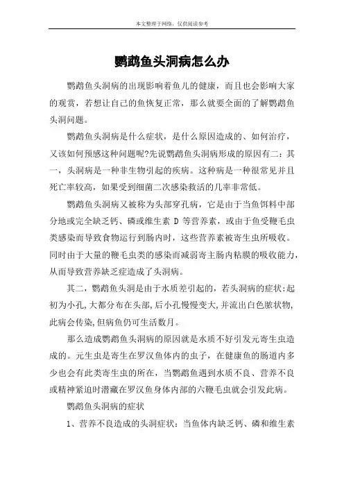 鹦鹉鱼头洞病怎么办