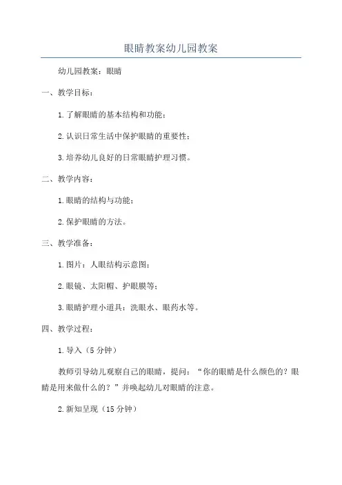 眼睛教案幼儿园教案