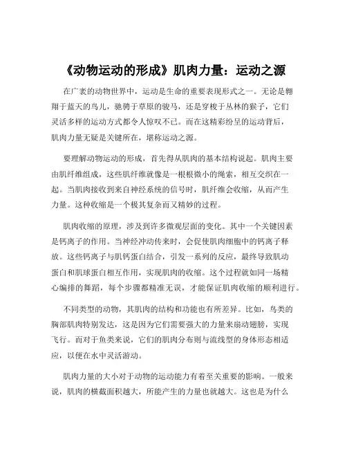 《动物运动的形成》肌肉力量：运动之源