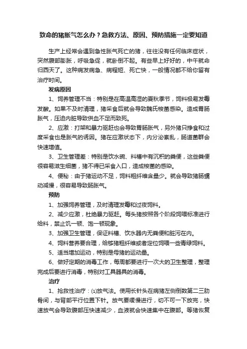 致命的猪胀气怎么办？急救方法、原因、预防措施一定要知道
