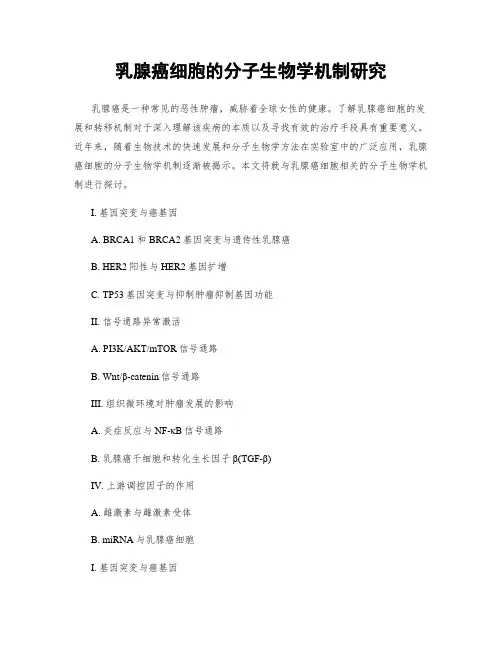 乳腺癌细胞的分子生物学机制研究