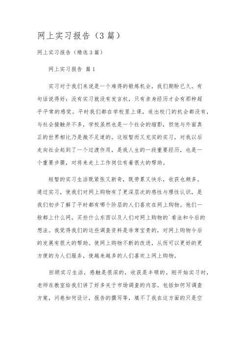网上实习报告(3篇)