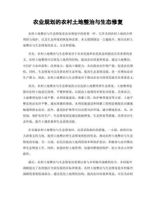 农业规划的农村土地整治与生态修复