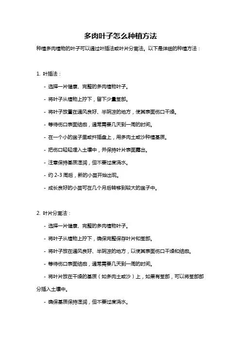 多肉叶子怎么种植方法