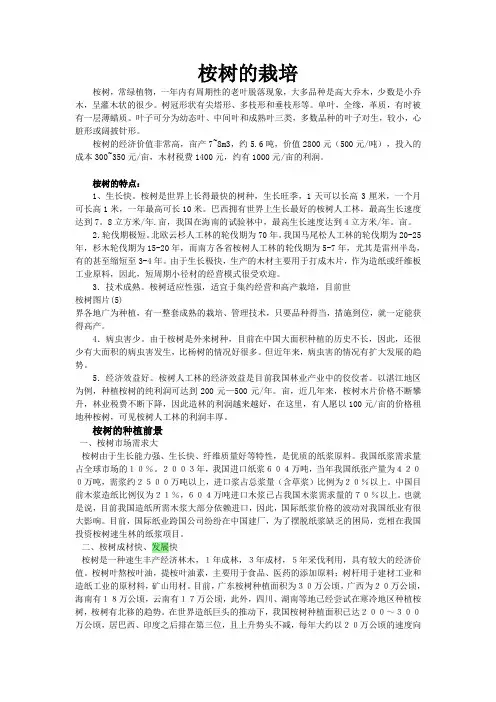 桉树种植