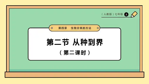 从种到界ppt课件