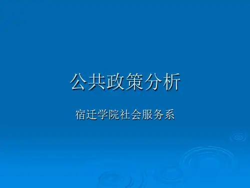 《公共政策系统》PPT课件
