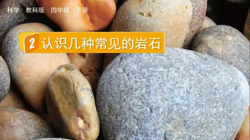 教科版四下科学2 认识几种常见的岩石