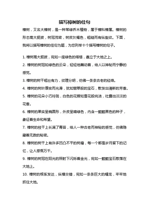 描写樟树的佳句