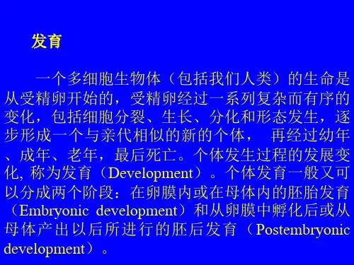 卵裂
