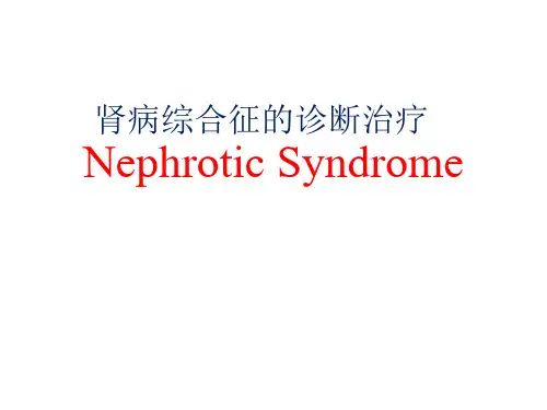 肾病综合征的诊断治疗