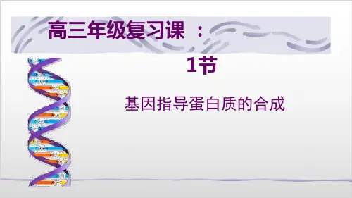 新教材《基因的表达》精品课件人教版1