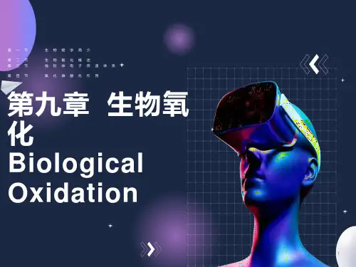 生物化学合工大第九章生物氧化