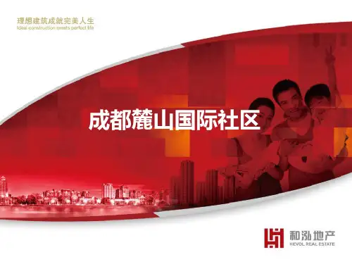 20141127成都麓山国际社区个案分析全解