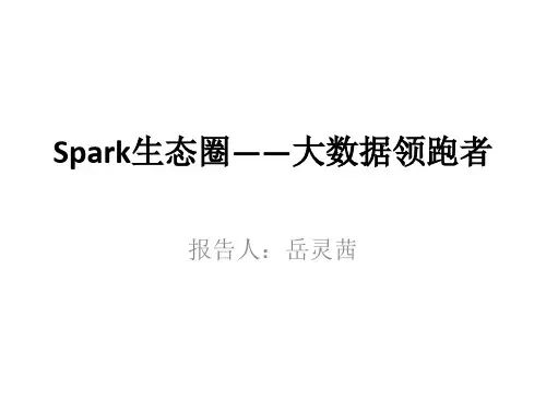 Spark生态圈——大数据领跑者