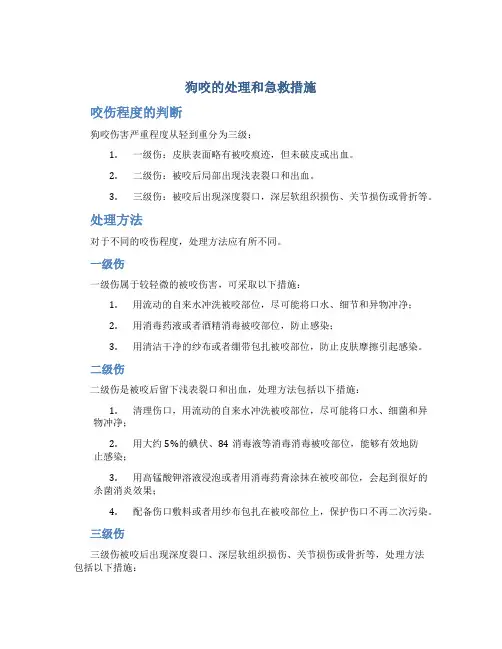 狗咬的处理和急救措施