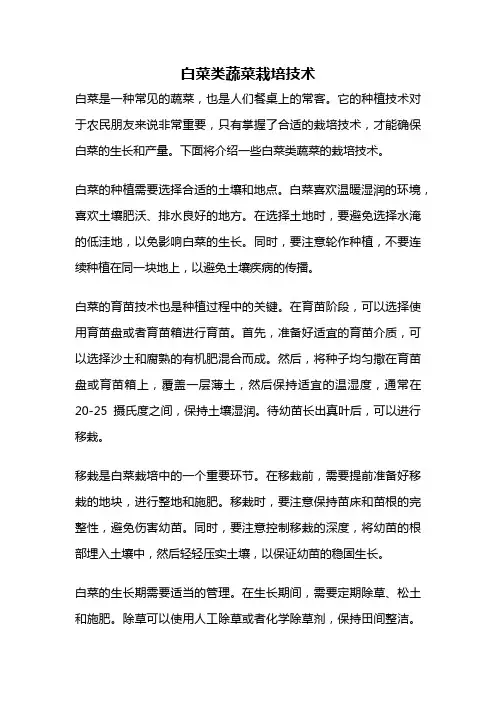白菜类蔬菜栽培技术