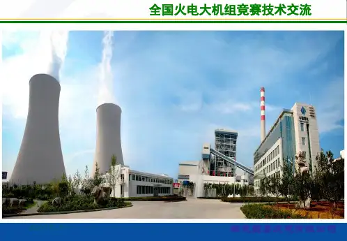 等离子点火系统存在的问题及对策探讨