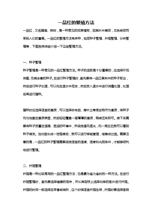 一品红的繁殖方法