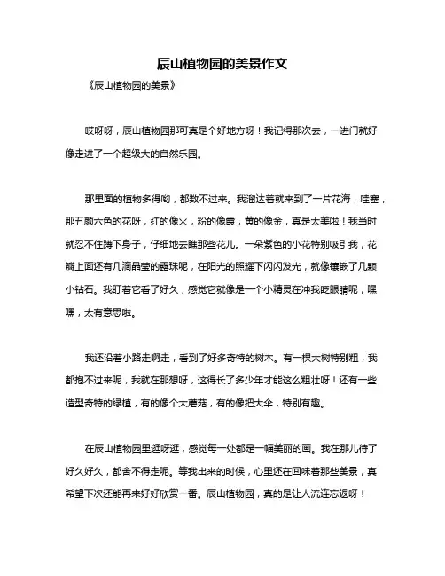 辰山植物园的美景作文