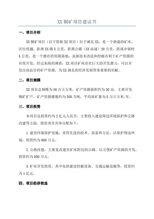XX铜矿项目建议书