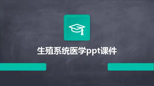 2024生殖系统医学ppt课件