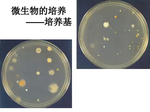 微生物的实验室培养说课稿PPT公开课一等奖课件省赛课获奖课件