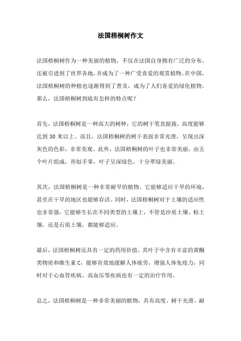 法国梧桐树作文