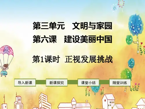 部编版九年级下册道德与法治正视发展挑战课件