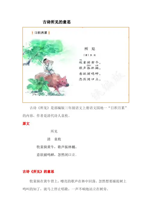 古诗所见的意思