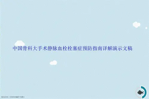 中国骨科大手术静脉血栓栓塞症预防指南详解演示文稿