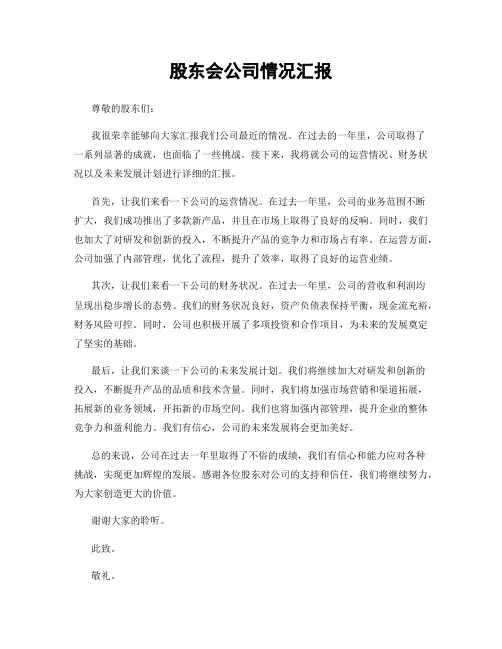 股东会公司情况汇报
