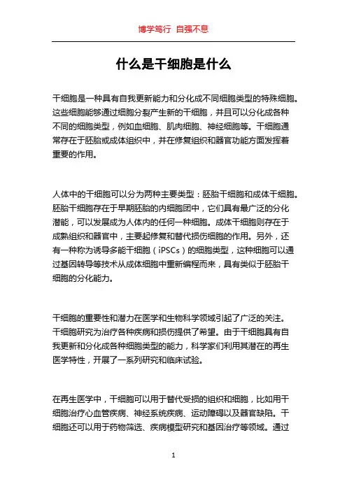 什么是干细胞是什么