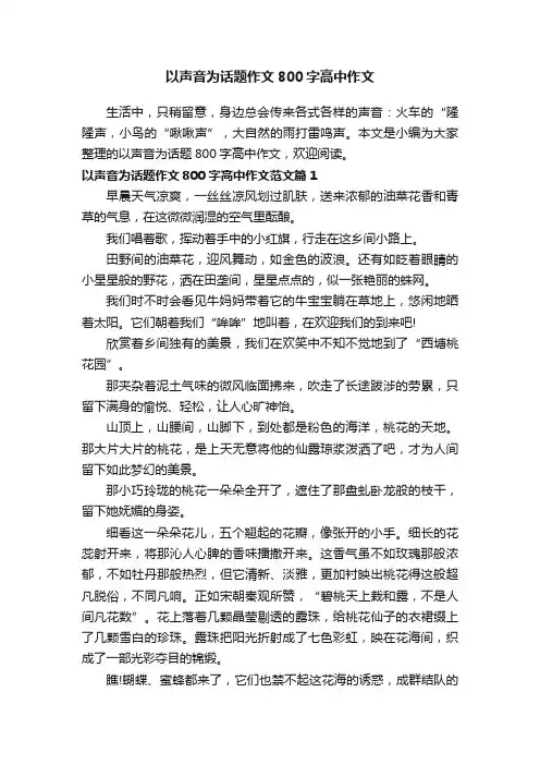 以声音为话题作文800字高中作文