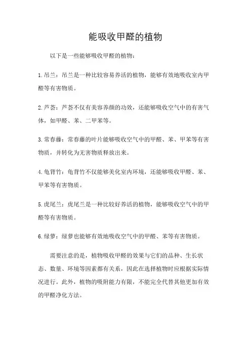 能吸收甲醛的植物