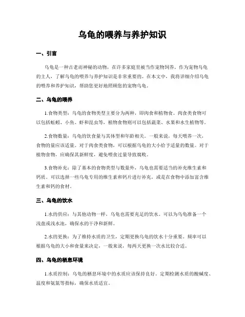 乌龟的喂养与养护知识