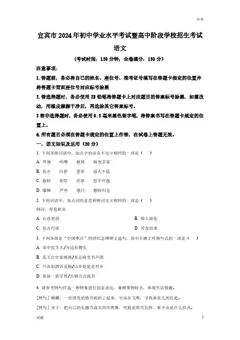2024年四川省宜宾市中考语文真题卷及答案解析