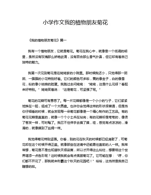 小学作文我的植物朋友菊花